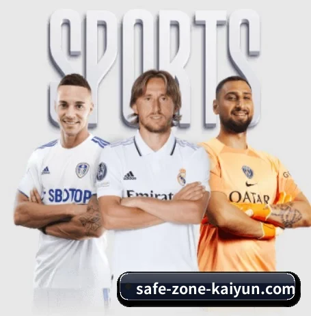 开云体育 APP 界面 - kaiyun