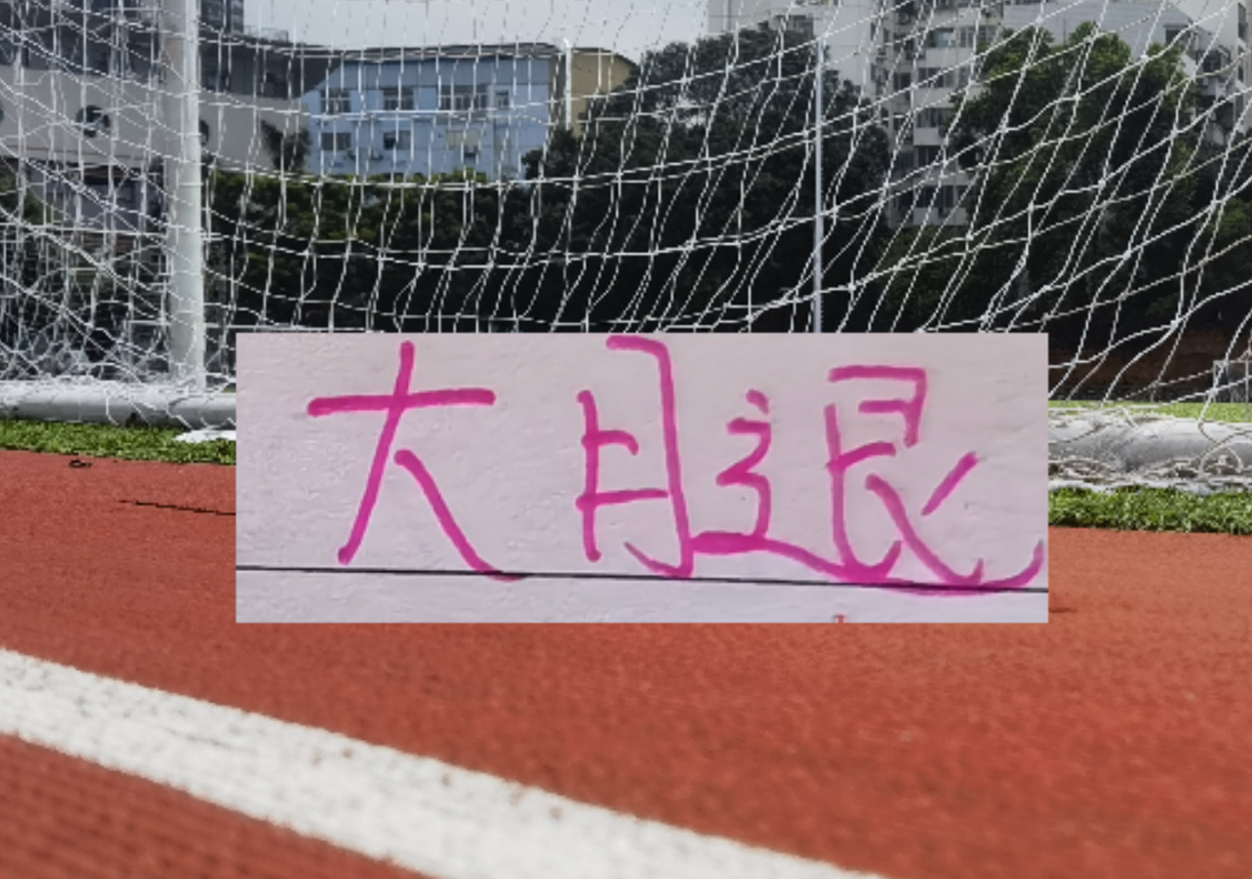 kaiyun-海港也是少有一个赛季引进2个非洲外援 安佩姆会是丐版巴尔加斯吗